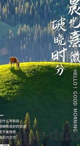 体球网手机比分足球比分-体球网手机比分，足球迷的实时比分利器